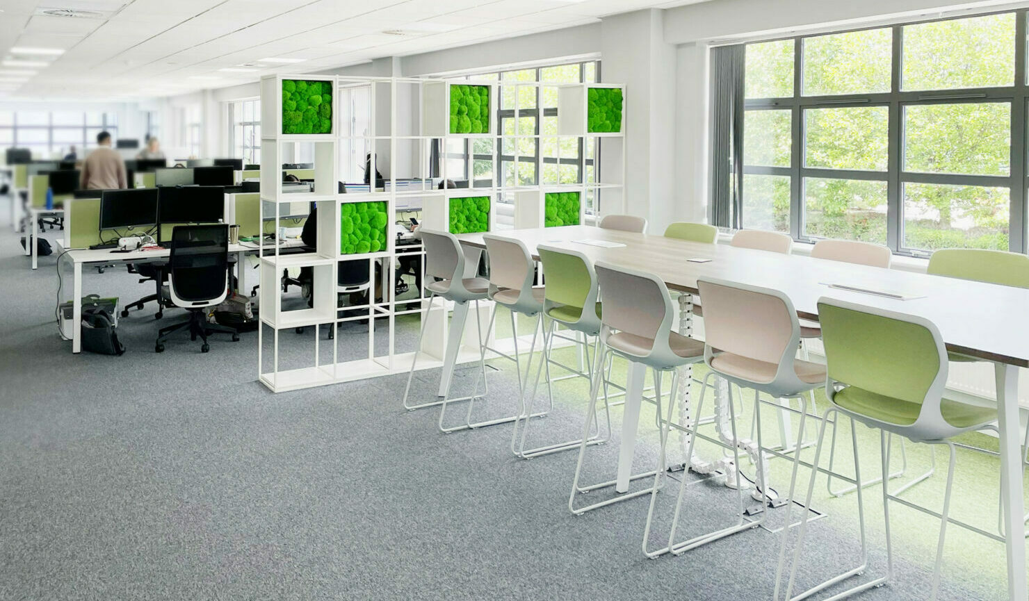 Mayflex Edited 06 copy scaled e1659365409559 from ACI