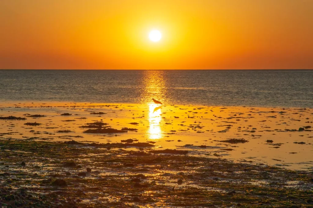 robert anderson oKW WyCU6x4 unsplash from ACI