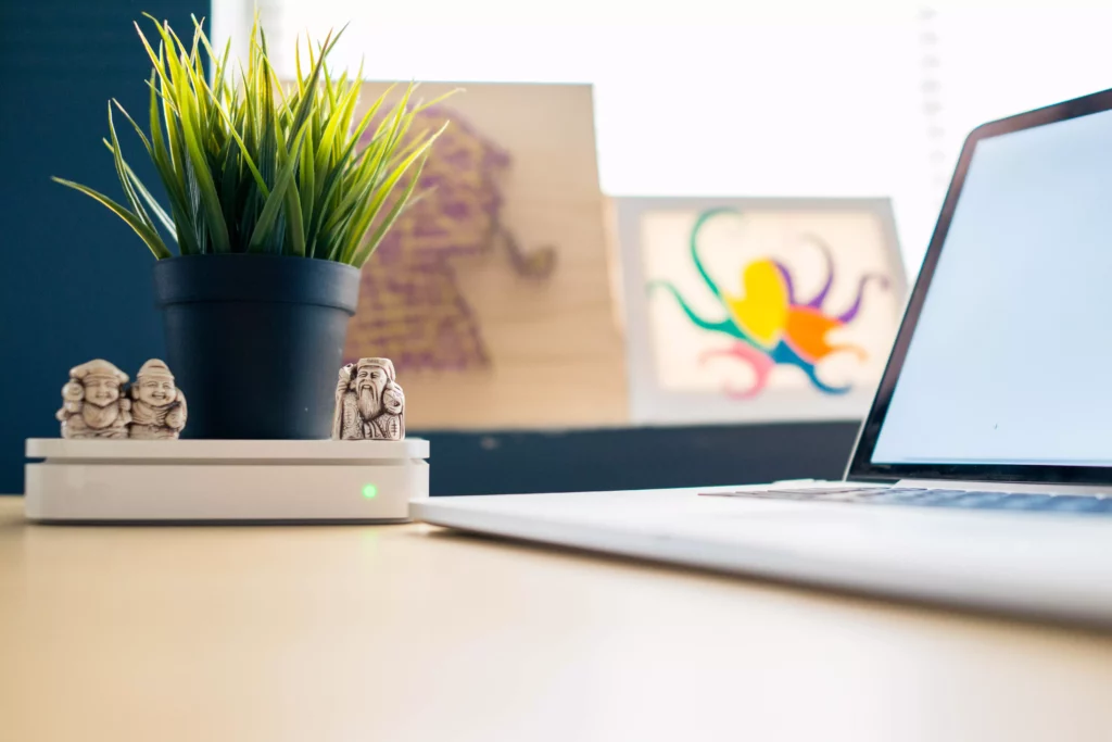 Office plants from aci