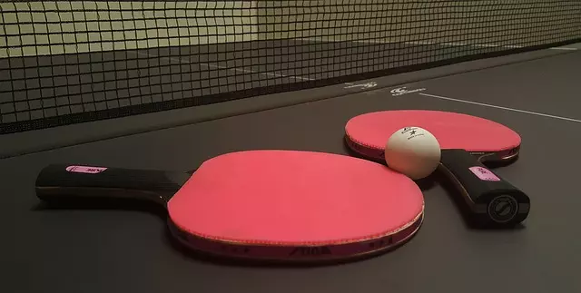 Ping pong 1205609 640 from aci